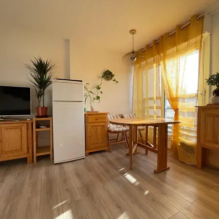 T2 Cyprien Saint-Cyprien (Pyrenees-Orientales)