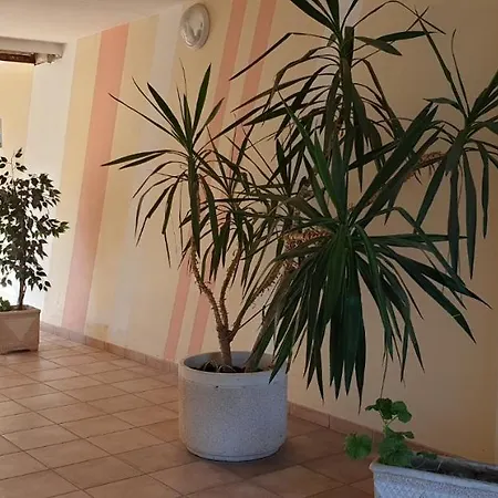 T2 Cyprien Saint-Cyprien (Pyrenees-Orientales)